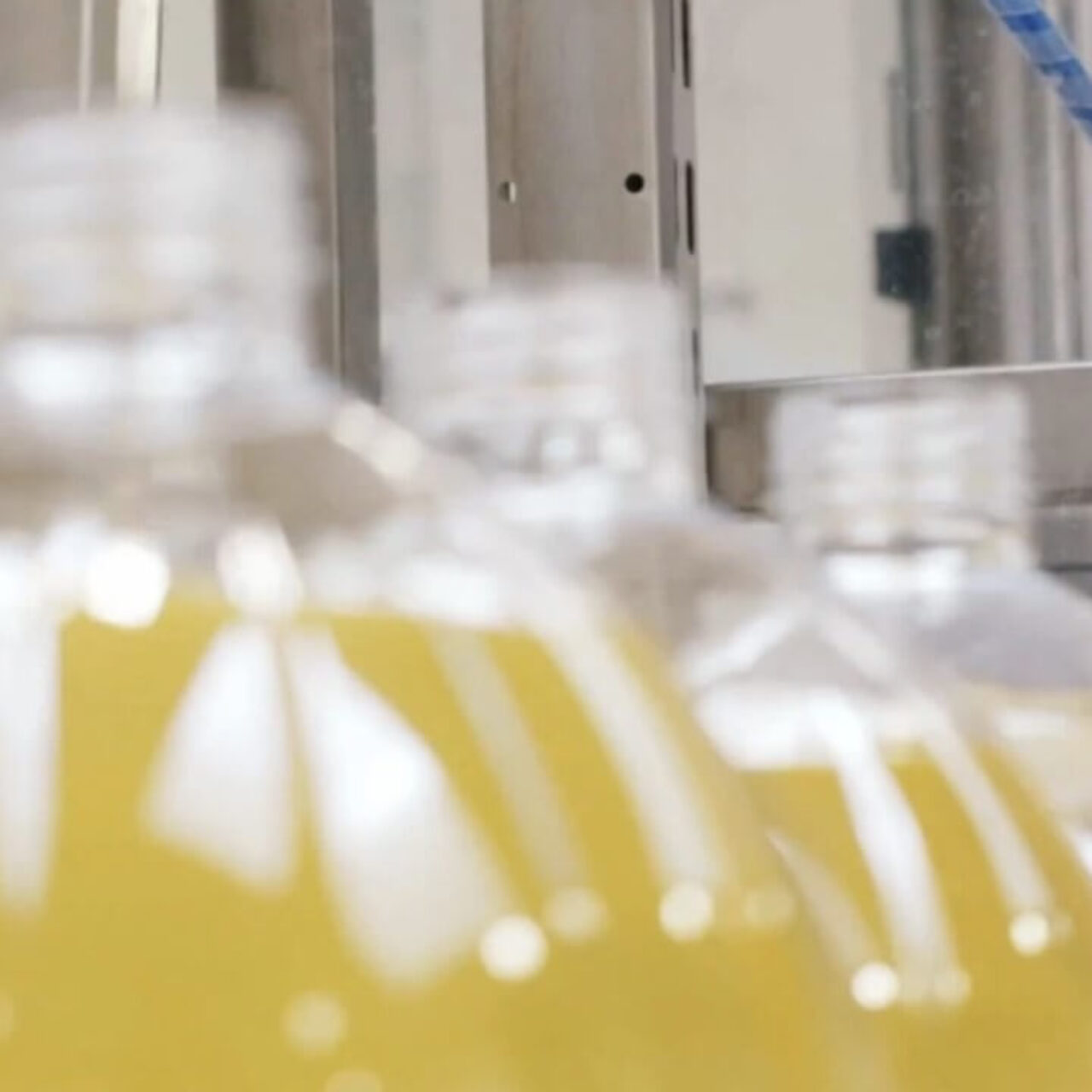 Tłuszcze w butelkach Rafsol