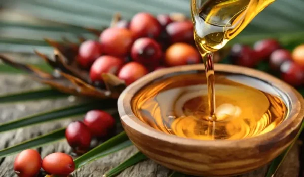 Development and implementation of vegetable fats for food production